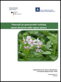 Төмс, үр тарианы талбайн хянан баталгааны гарын авлага